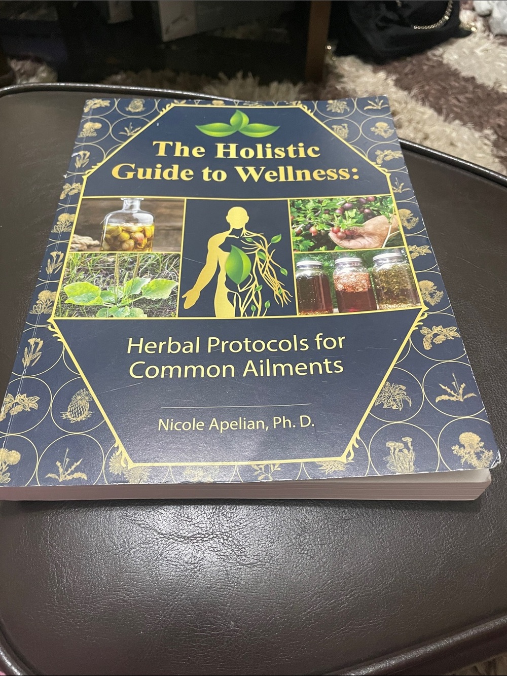 The Holistic Guide to Wellness: Herbal Protocols for Common Ailments - Navy
